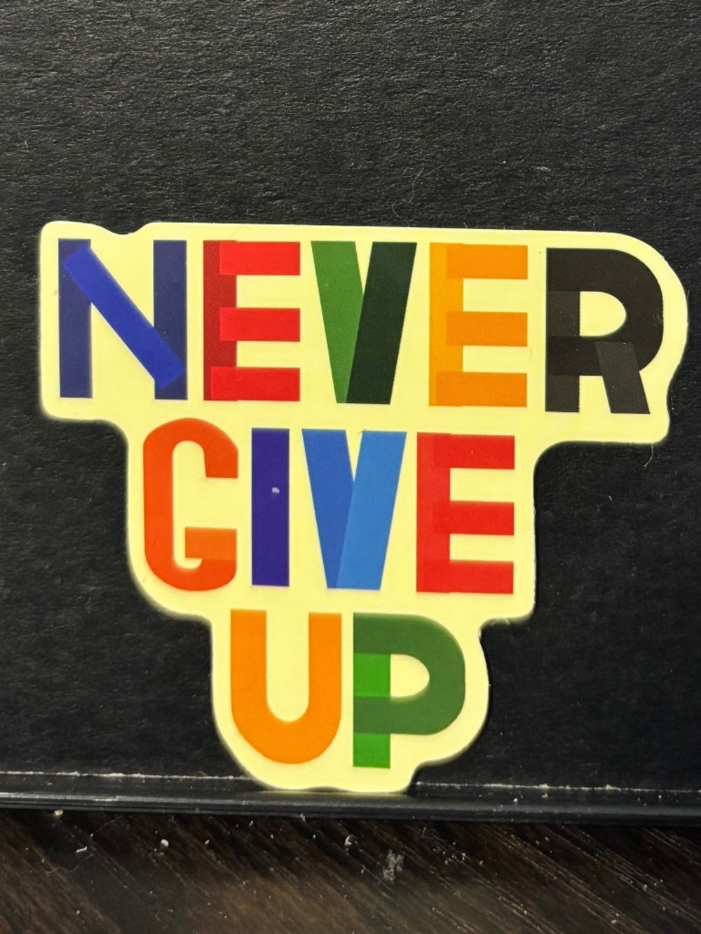 Never Give Up Sticker